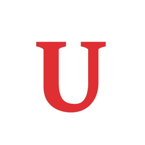 Universidad Andina logo